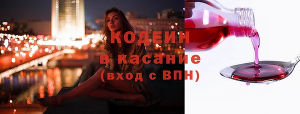 шишки Шадринск